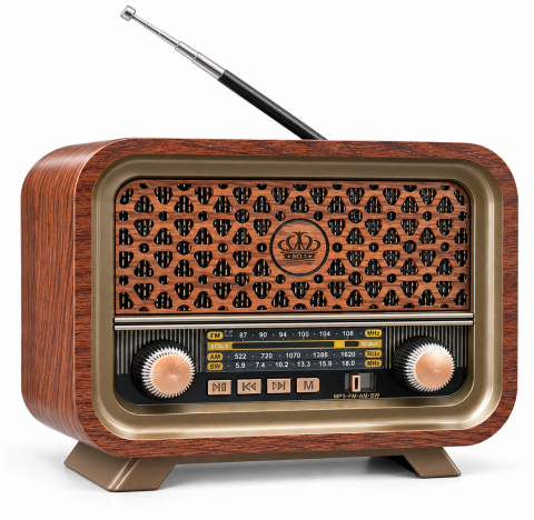 Everton RT-736 BT Hoparlör Nostaljik Radyo